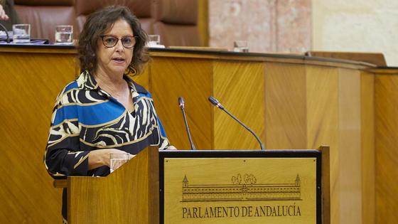 Salud defiende el gasto del hospital público de Roquetas y el PSOE cuestiona la construcción de uno privado