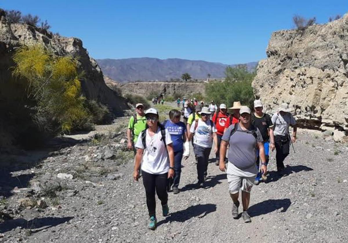 Varios senderistas realizan una caminata por la naturaleza.