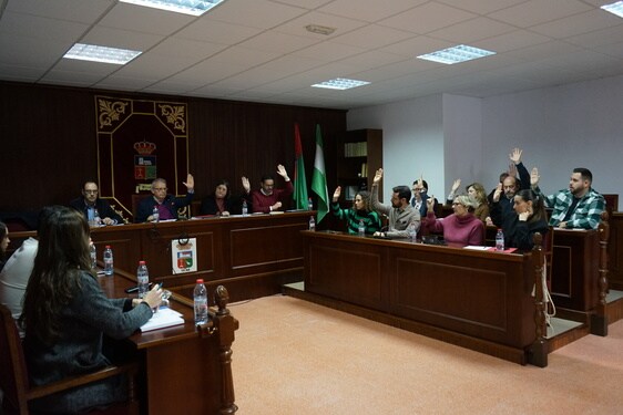 El pasado viernes se celebró el pleno municipal en Vícar, localidad del Poniente, donde se aprobaron los presupuestos para este año.