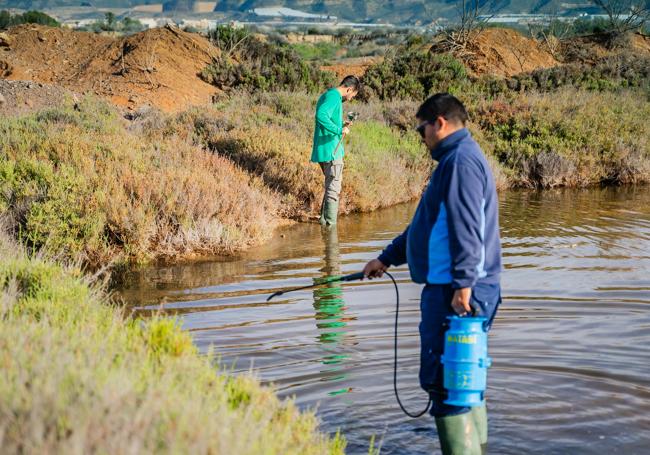 Dos operarios se encargan de un humedal.