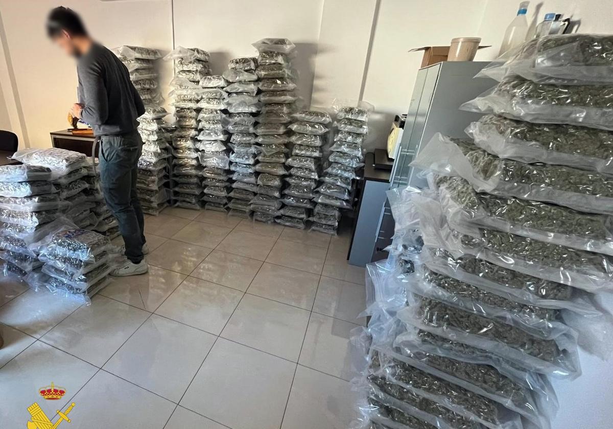 Marihuana encuntrada en un chalet de Vícar