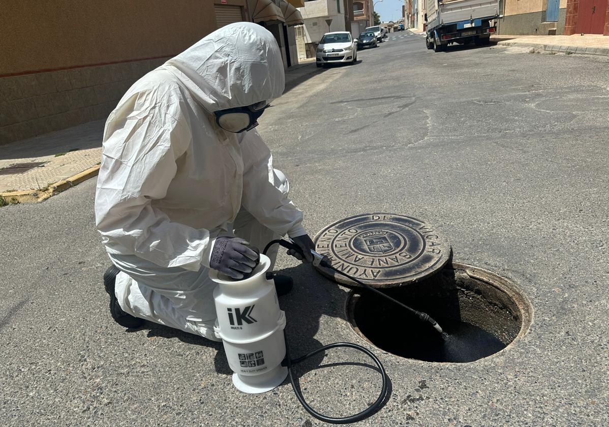 Uno de los trabajadores que se encarga de la desinfección de bichos en el municipio de Vícar.