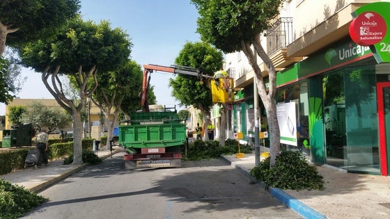 Vícar lleva a cabo labores de poda en espacios verdes del municipio