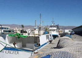 Una de las imágenes del interior del Puerto de la localidad de Roquetas de Mar.