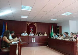 Imagen del último pleno celebrado este jueves 25 de julio en el Ayuntamiento de Vícar.