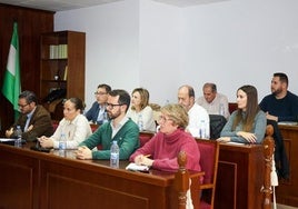 Imagen del Pleno Municipal de Vícar que contó con una variedad de propuestas del equipo de Gobierno, del Partido Popular y de Vox.