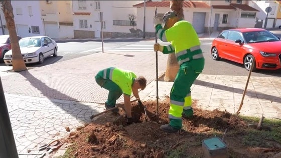 Roquetas mejora los sistemas de riego y jardines de varias zonas de Aguadulce