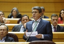 El senador popular, Juan José Matarí, en una de sus intervenciones en en el Senado.