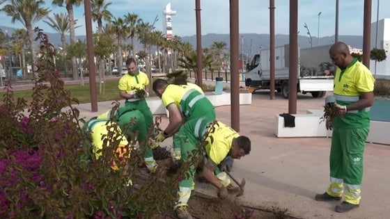 Roquetas realiza trabajos de mejora de jardinería en las zonas más próximas al Centro Comercial