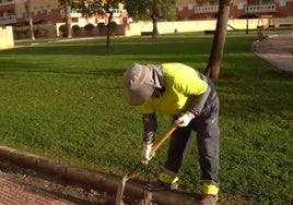 Las labores realizadas en esta zona de Aguadulce son de mantenimiento.