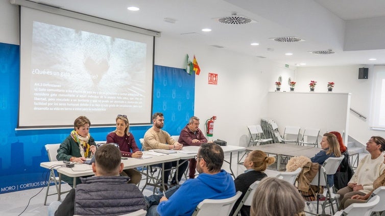 Roquetas realiza el primer encuentro para abordar el programa de sobre las Colonias felinas