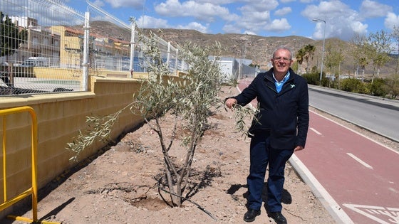 Vícar amplía la zona verde del municipio con la incorporación de 50 árboles