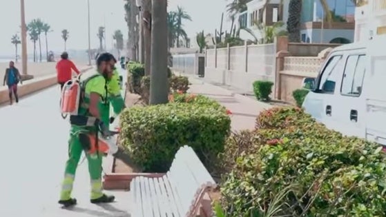 Roquetas de Mar realiza trabajos de mejora en los alredores de la Romanilla