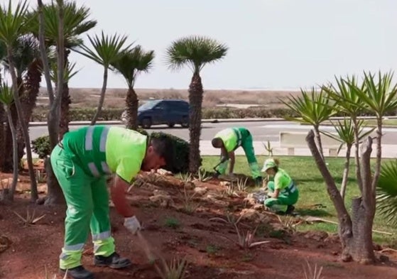 Los trabajadores en una zona del municipio.