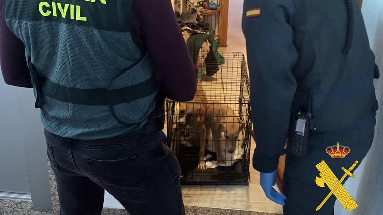 Dos detenidos en Roquetas por la cría y venta ilegal de mascotas haciéndose pasar por una protectora