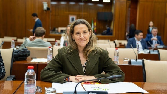 Exigen «soluciones» al Gobierno de Moreno Bonilla ante la saturación del Registro Civil en Roquetas