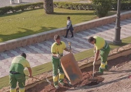 Trabajadores realizando labores de jardinería y plantación.