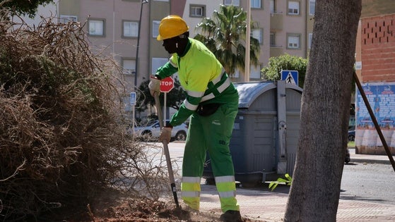 Roquetas realiza labores de jardinería en la calle Vigo y en las Salinas