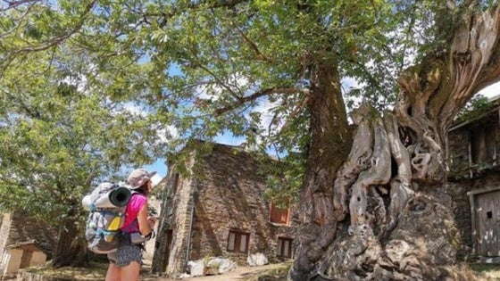 'Viajeros Canallas de Vícar' prepara una experiencia única por el norte de España