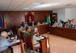 Imagen del pasado pleno celebrado en Vícar el que se ratificó el reconocimiento a las Fuerzas del Estado.