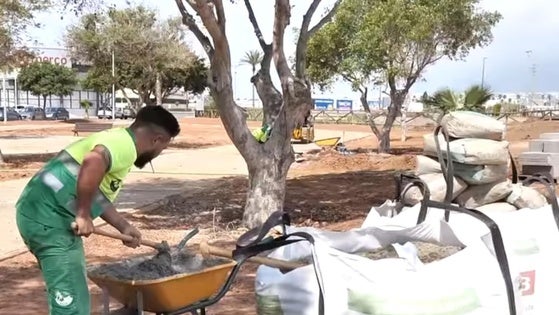 Roquetas realiza trabajos de jardinería en la calle Vigo