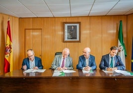 El documento de coordinación incluye un análisis de la oferta y la demanda actuales y previstas de servicios de transporte.