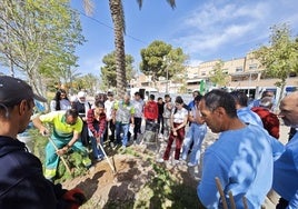 El municipio vicario cuenta en la actualidad con más arbolado.