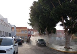 Momentos de fumigación en el municipio vicario.