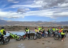 Las bicicletas son una gran herramienta para moverse por la ciudad y practicar deporte.