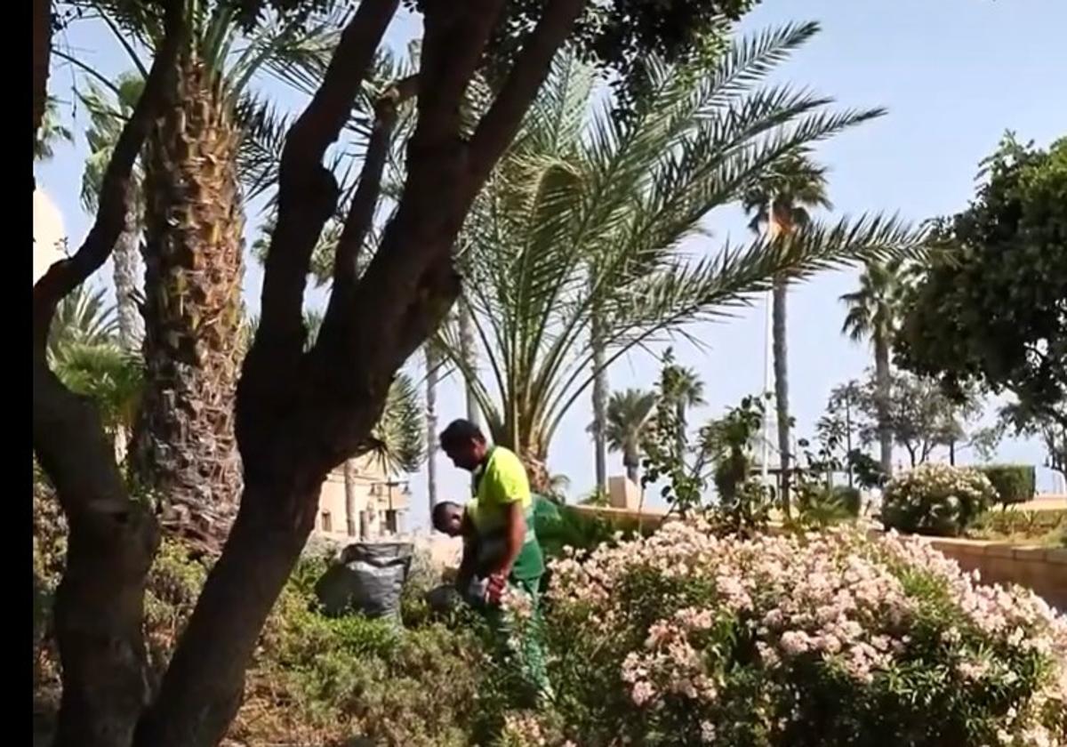 Trabajadores se encargan de labores de jardinería en las proximidades del Castillo de Santa Ana.