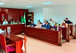 El Pleno Municipal se celebra en el Ayuntamiento de Vícar.