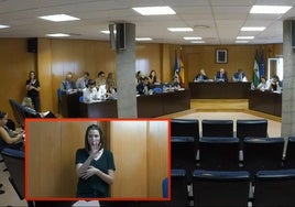 Las formaciones políticas asisten al Pleno municipal este jueves, contando con una profesional en interpretación de signos, de ASOAL.