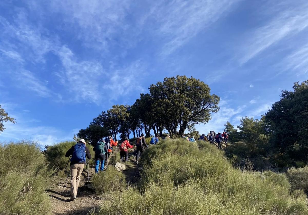 Un sendero.