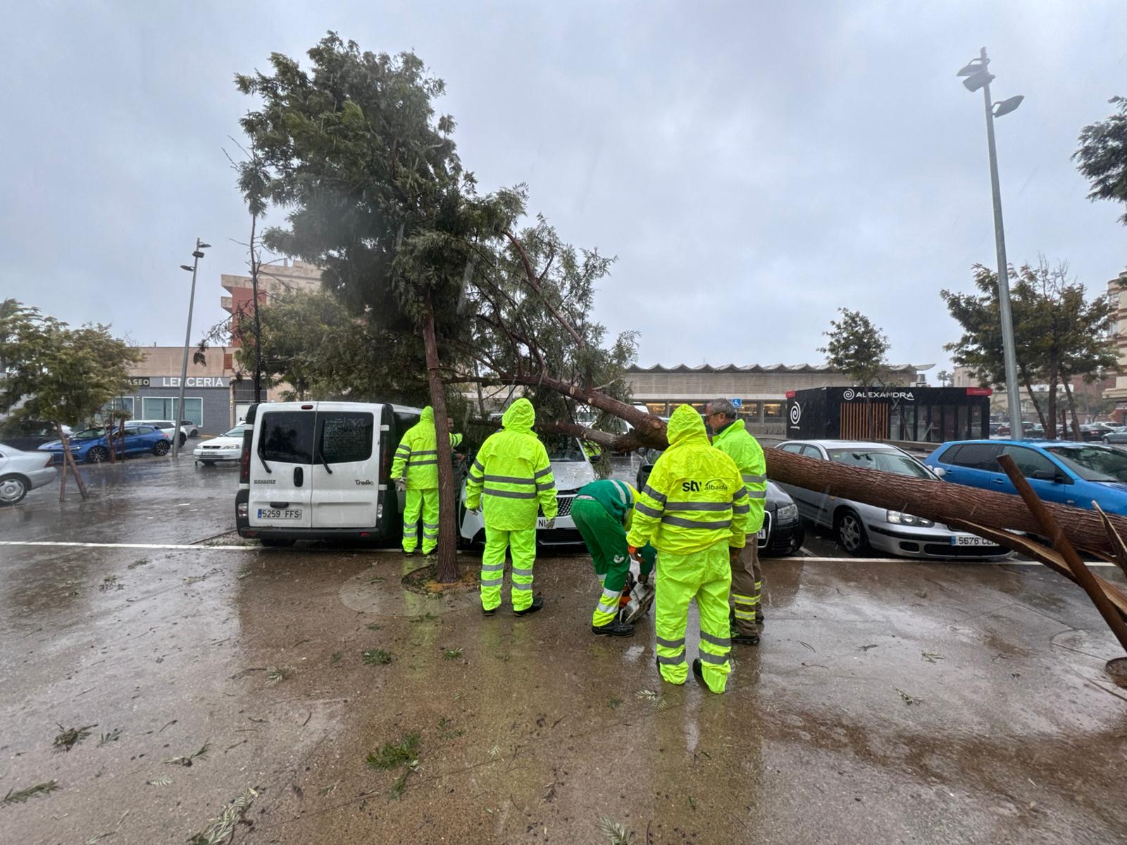 Servicios Municipales de Roquetas trabajan a pleno rendimiento durante el temporal, en imágenes