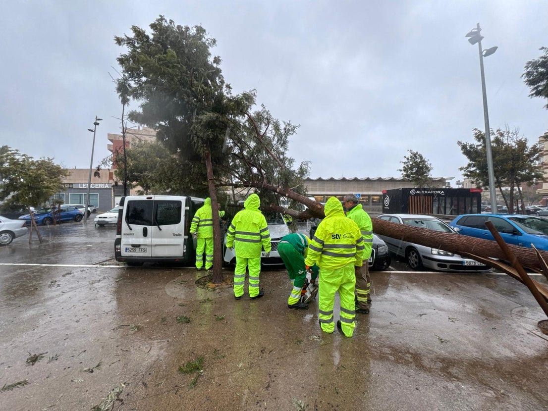 Servicios Municipales de Roquetas trabajan a pleno rendimiento durante el temporal, en imágenes