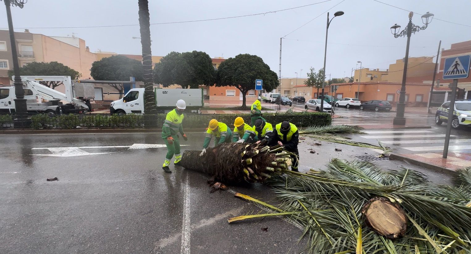 Servicios Municipales de Roquetas trabajan a pleno rendimiento durante el temporal, en imágenes