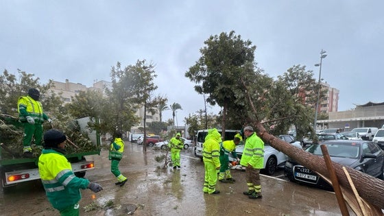 Servicios Municipales de Roquetas trabajan a pleno rendimiento durante el temporal, en imágenes