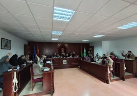 Uno de los momentos vividos en el pleno celebrado en el Ayuntamiento de Vícar.