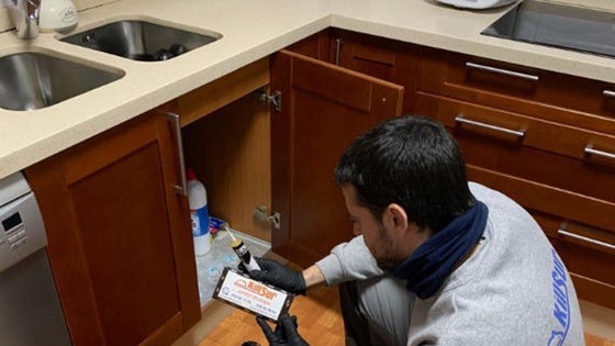 Killsur, la empresa que elimina las plagas