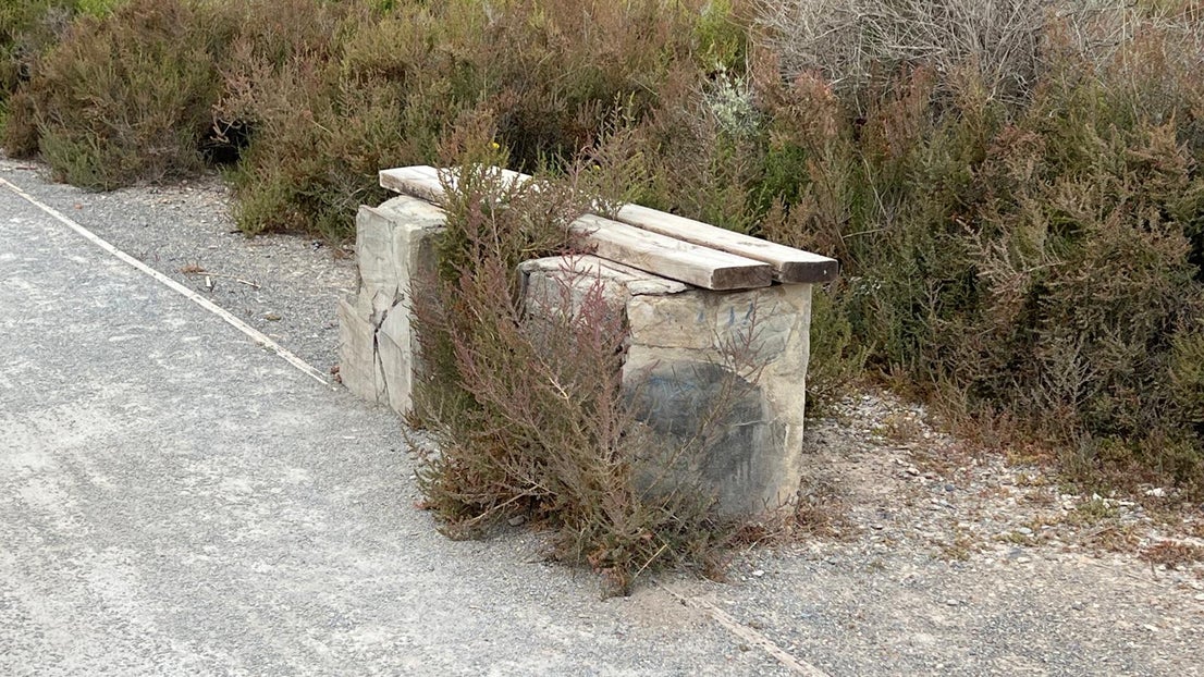 El deterioro del corredor verde de la Ribera de la Algaida, en imágenes