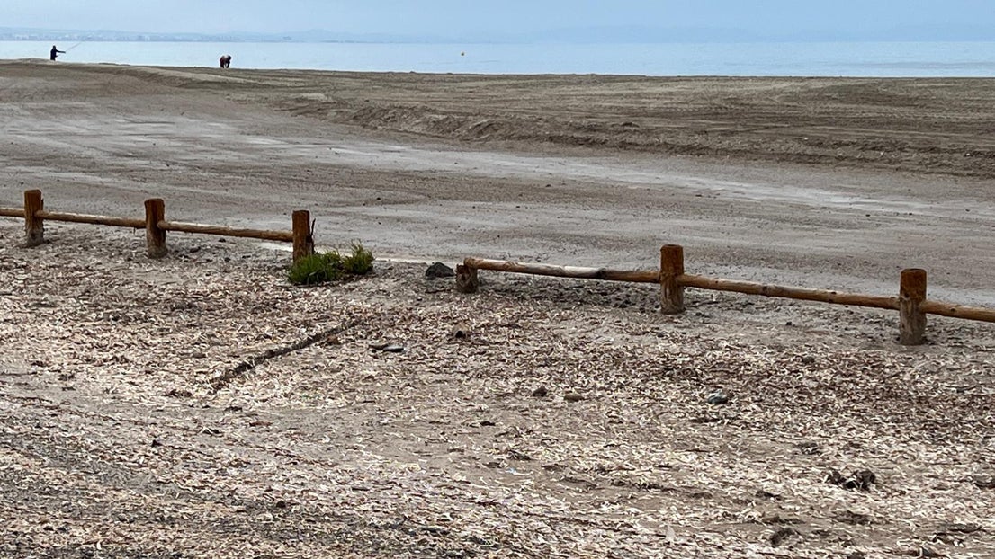 El deterioro del corredor verde de la Ribera de la Algaida, en imágenes