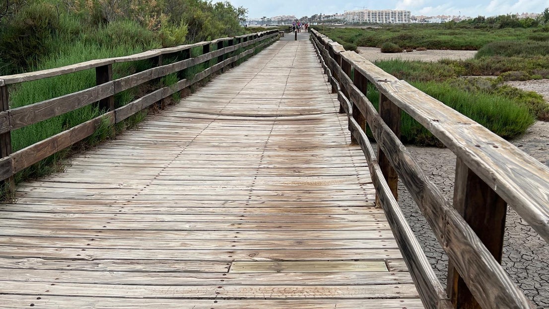 El deterioro del corredor verde de la Ribera de la Algaida, en imágenes