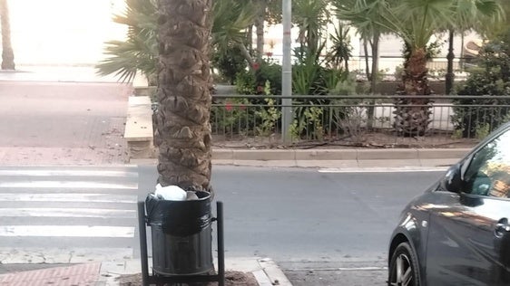 El PP de Vícar se compromete a implantar el baldeo periódico de calles y aceras