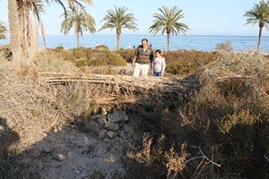 Cultura instará a los propietarios a proteger Turaniana