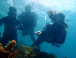 Hookah Dive: una técnica más económica y accesible para practicar submarinismo