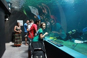 El Aquarium sigue sin una solución política que evite su cierre