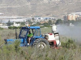 IU pide medidas para resolver el problema de mosquitos, reaparecido tras las lluvias