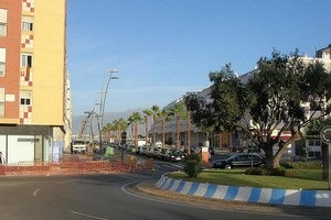 UPyD critica el «despilfarro» de las obras de la avenida Rosita Ferrer