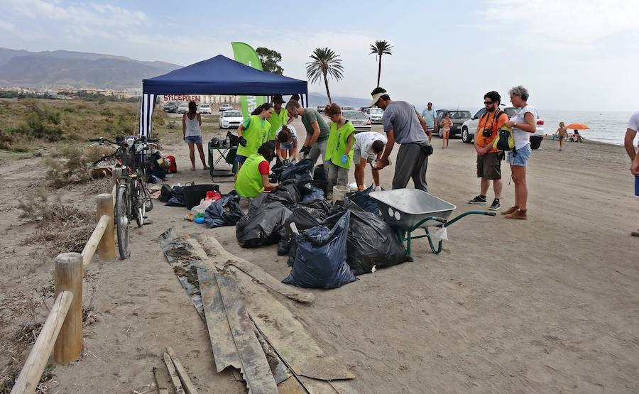 Greenpeace organizó una jornada de limpieza en la Ribera de la Algaida