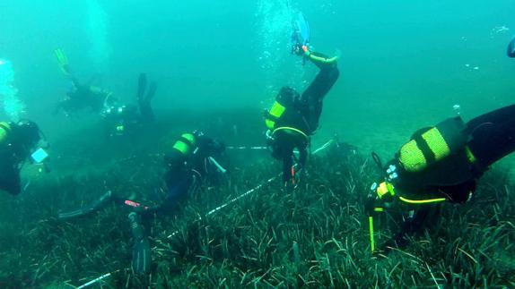 Aguadulce tendrá en unos días una estación para controlar la salud de la posidonia